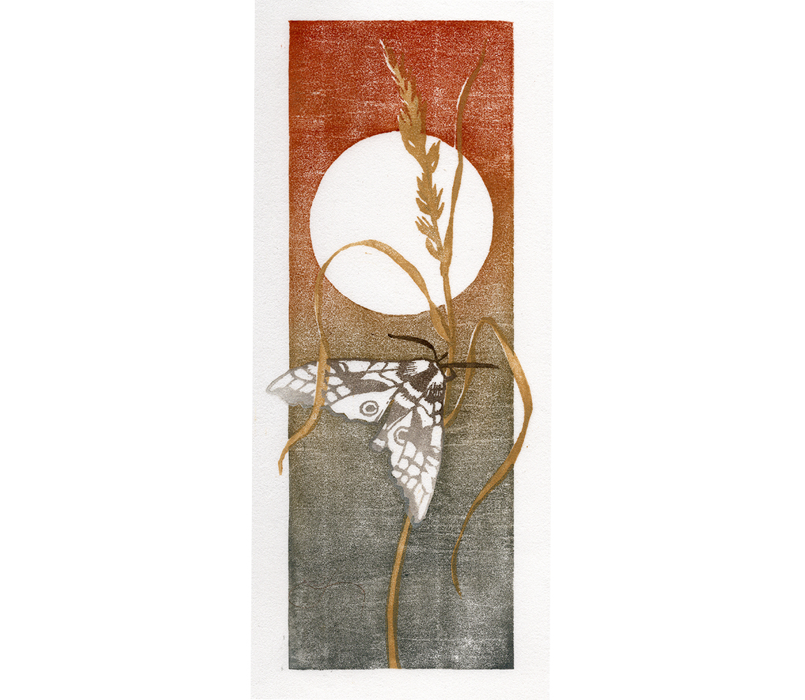 “Sphinx” - Kristen Etmund